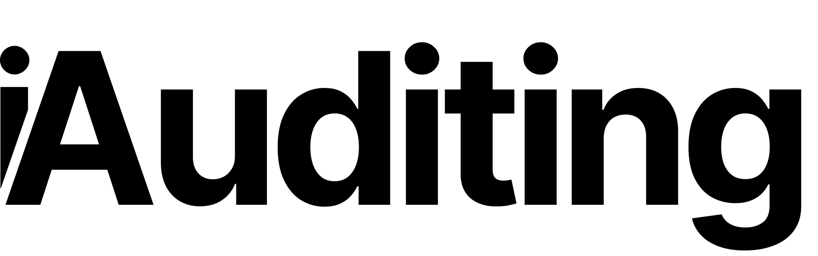 iAuditing logo
